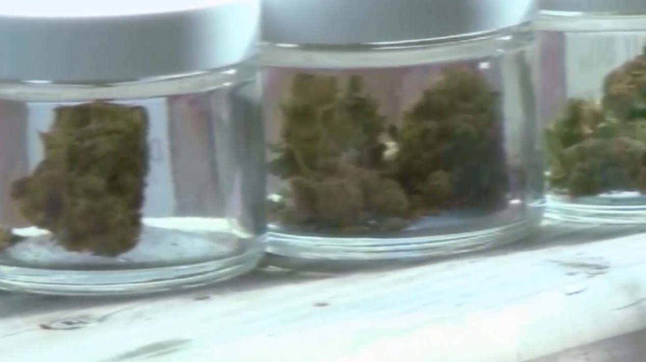 Marijuana dispensary could be within reach for local CBD shop owner - Vimarsana News